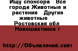 Ищу спонсора - Все города Животные и растения » Другие животные   . Ростовская обл.,Новошахтинск г.